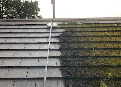 roof cleaning