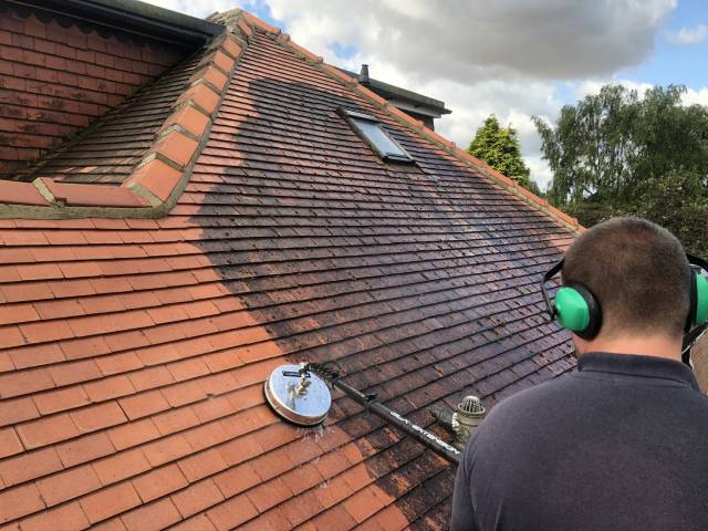 roof cleaning