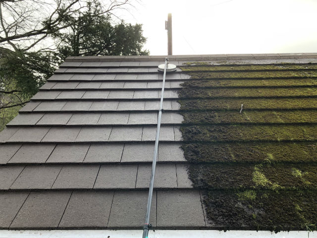 moss removal on a roof